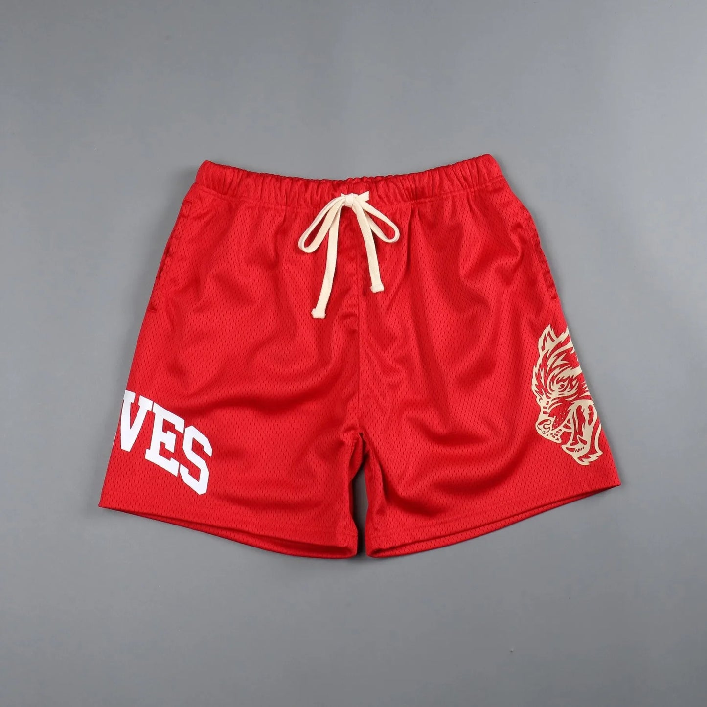 Men's Summer Streetwear Sports Casual Shorts Gym Fitness Mesh