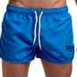 EVERLAST Men's Sports Shorts Summer Quick Dry Breathable Mesh Fitness Running Shorts Swimming Vacation Shorts